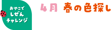 4月 春の色探し