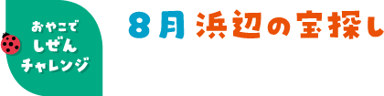 8月 浜辺の宝探し