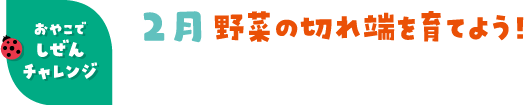 2月 野菜の切れ端を育てよう！